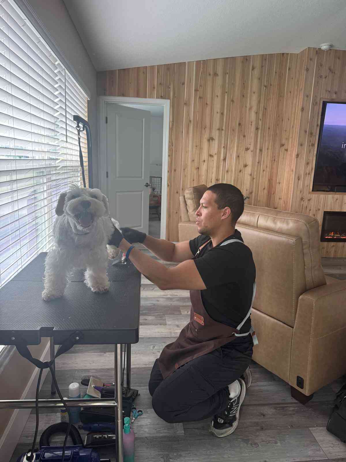 Daiker, groomer de Tioshampoo, atendiendo a un perro a domicilio