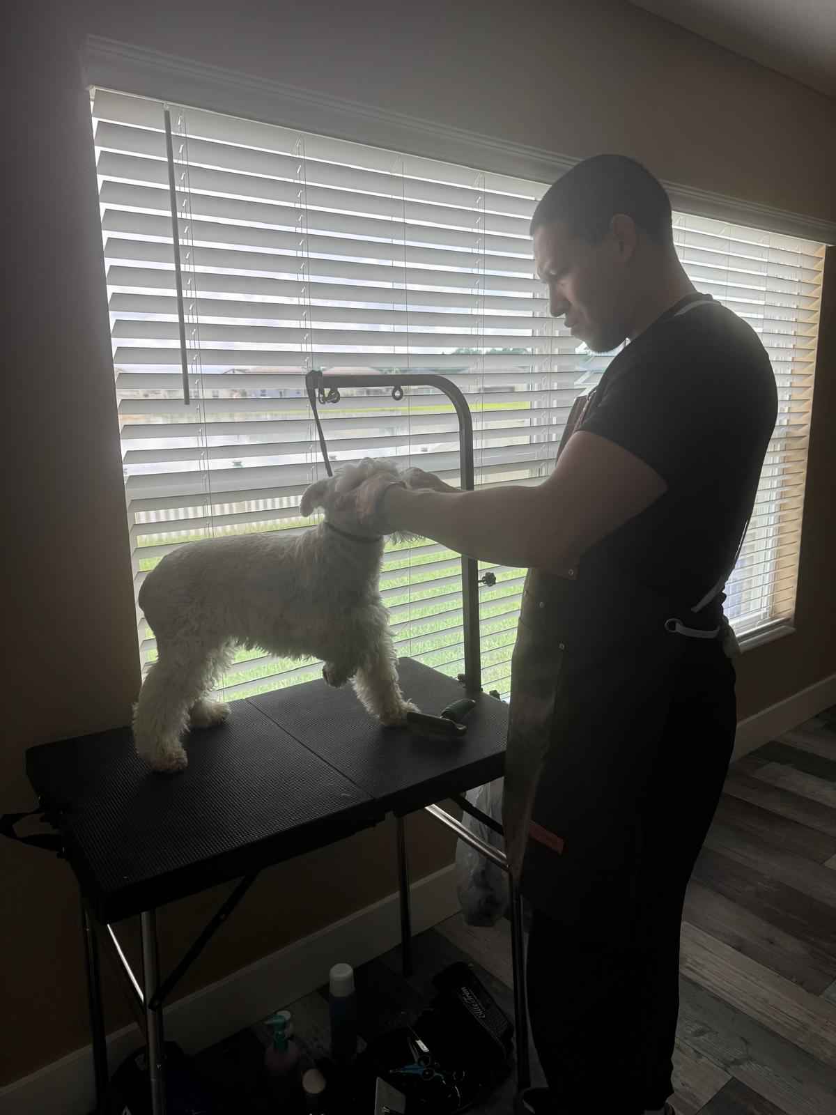 Mascota lista tras su sesión de grooming a domicilio